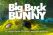 Big buck bunny